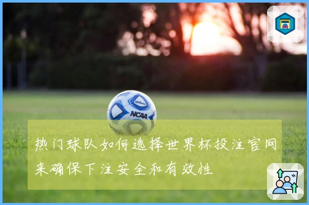 热门球队如何选择世界杯投注官网来确保下注安全和有效性