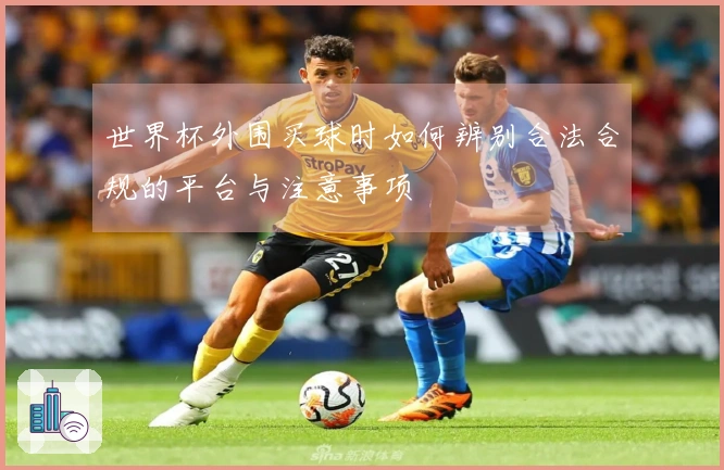 世界杯外围买球时如何辨别合法合规的平台与注意事项
